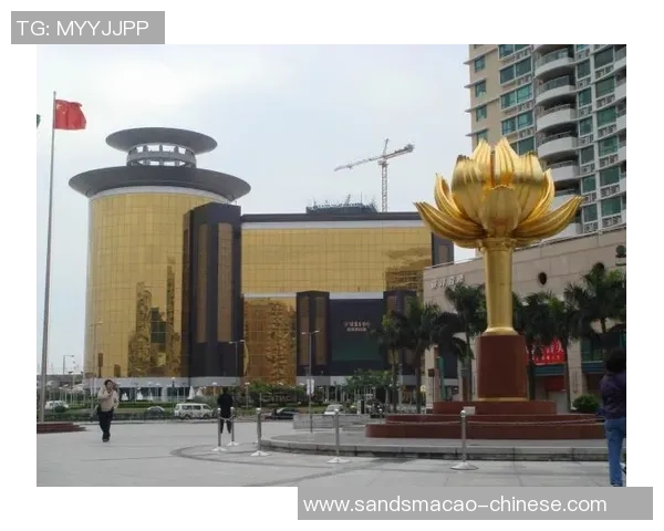 金沙城娱乐场官网-金沙城娱乐场官网，体验极致娱乐的全新世界-金沙城娱乐场官网